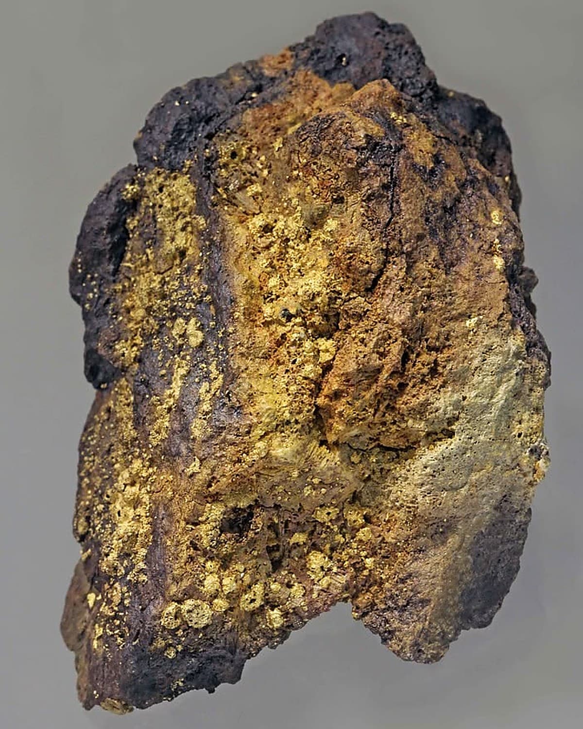 Esemplare simile a una meteorite con crosta scura e superficie metallica dorata, fondo grigio